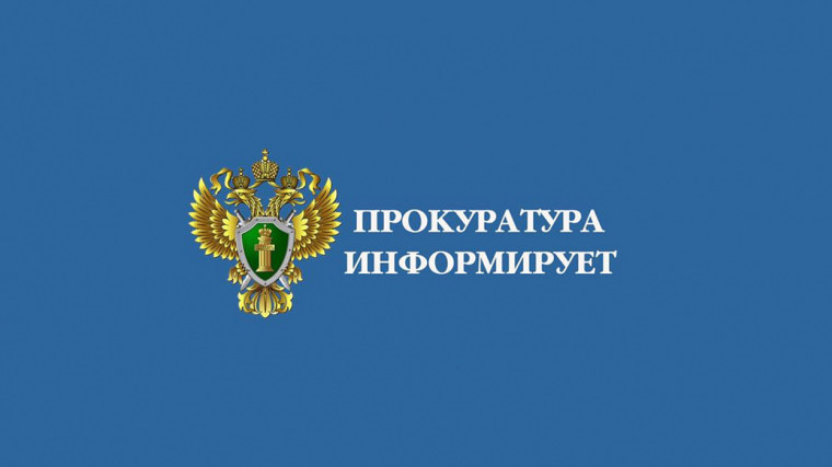Штрафы за древесину. Штрафы за древесину.