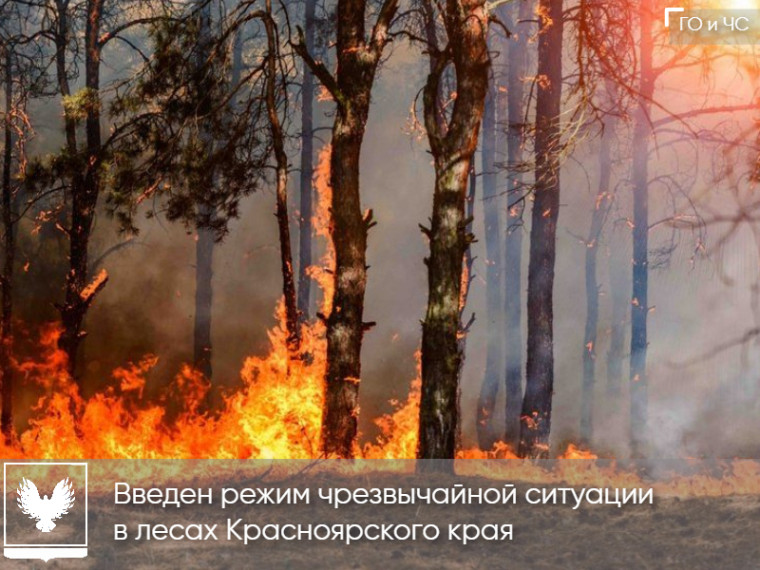 ВВЕДЕН РЕЖИМ ЧС в лесах Красноярского края. ВВЕДЕН РЕЖИМ ЧС в лесах Красноярского края.